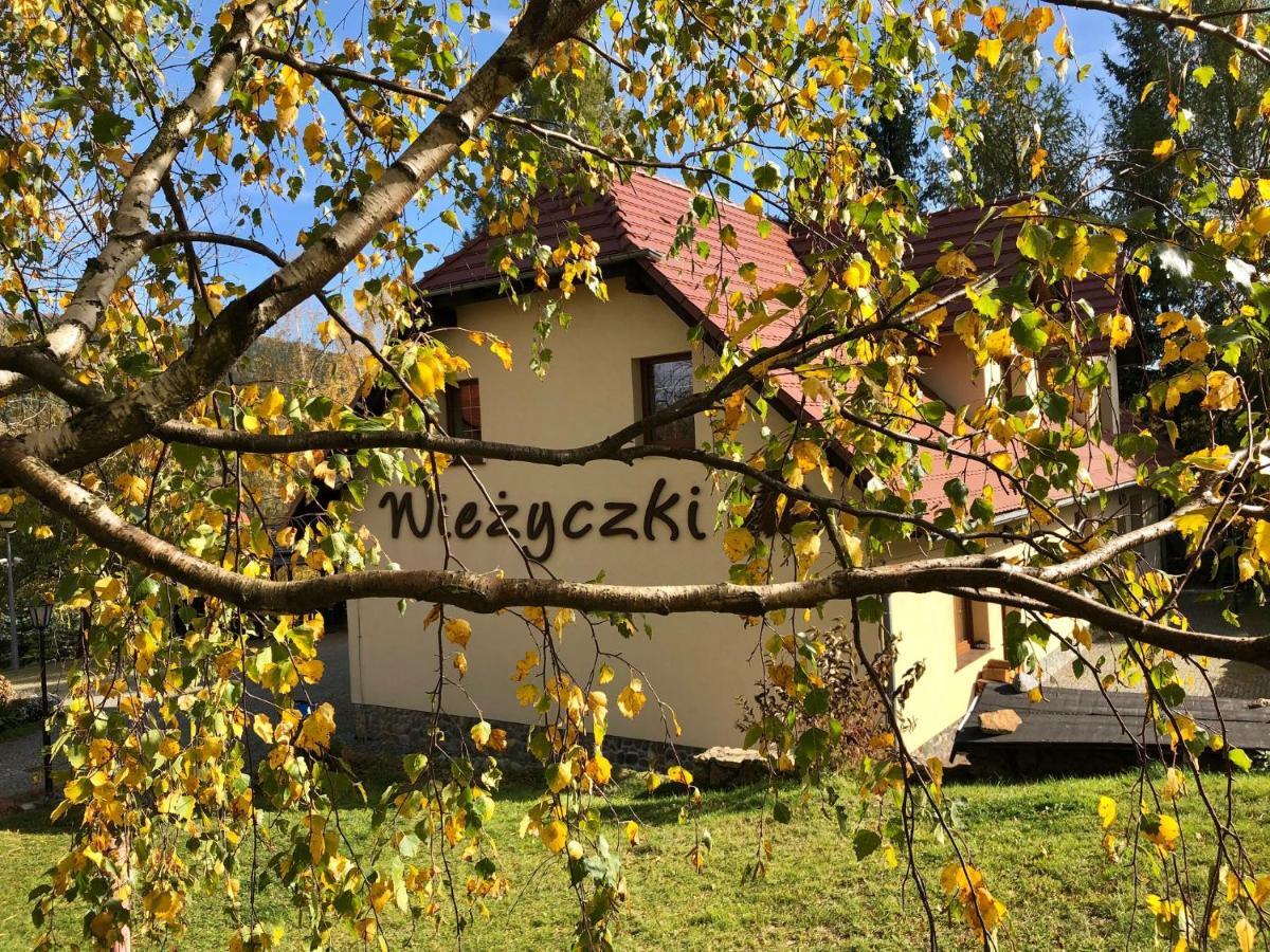 Willa Wiezyczki Świeradów-Zdrój Екстериор снимка
